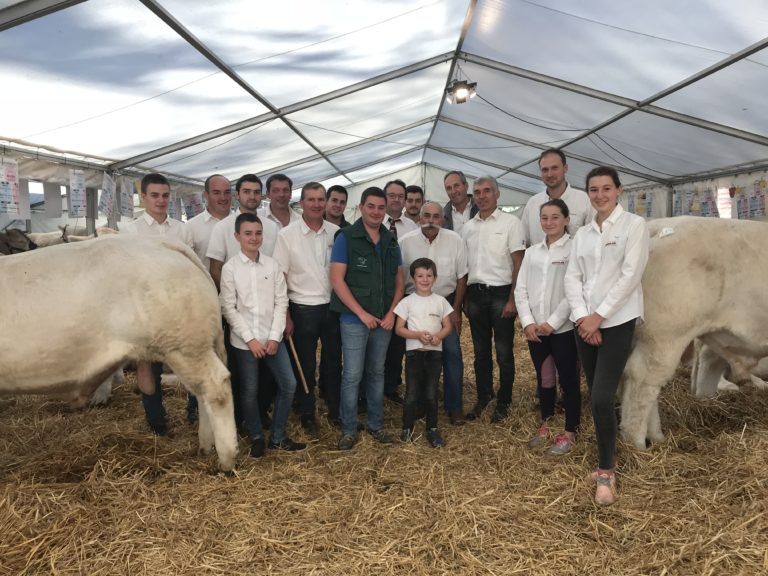 Les membres du syndicat charolais Aveyron dans un élevage