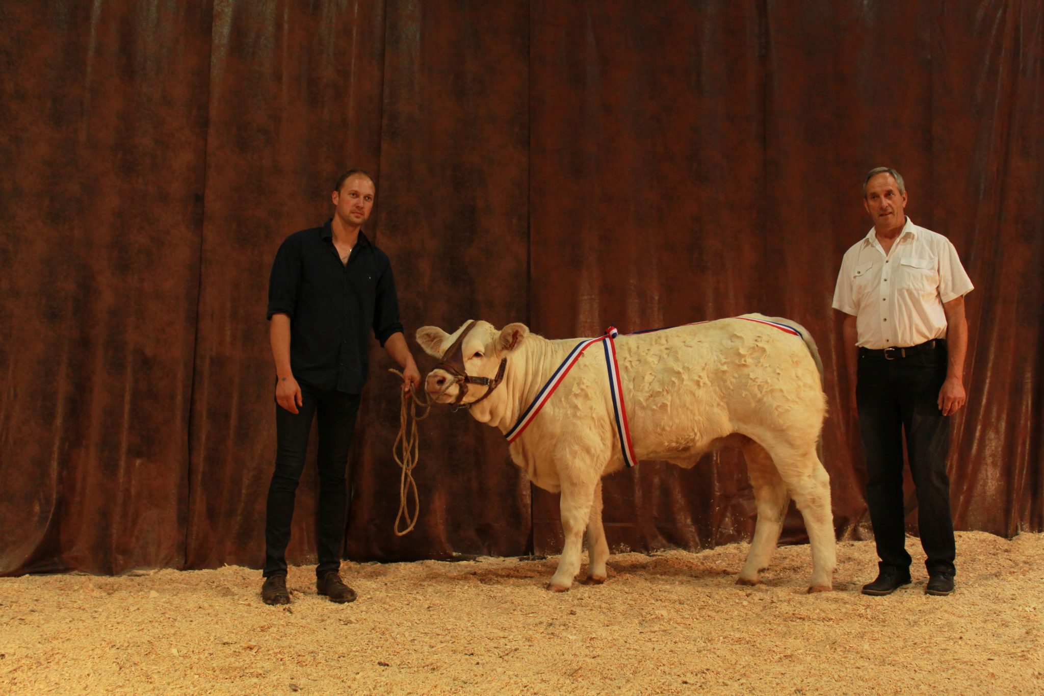 Pierre et Etienne Lauriol avec un veau Charolais lors d'un concours