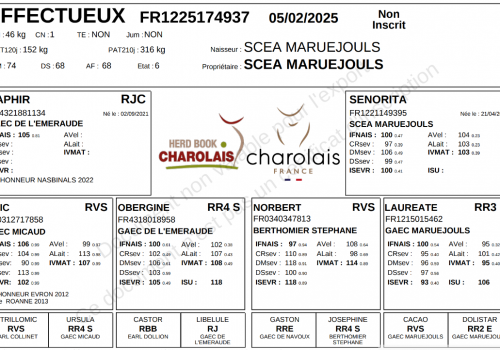 Capture d’écran 2026-02-20 165044