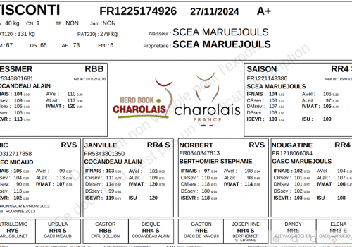 Capture d’écran 2026-02-20 165109