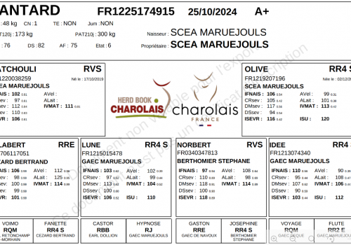 Capture d’écran 2026-02-20 165146