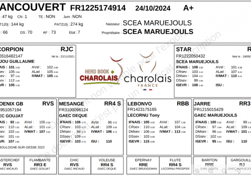 Capture d’écran 2026-02-20 165215