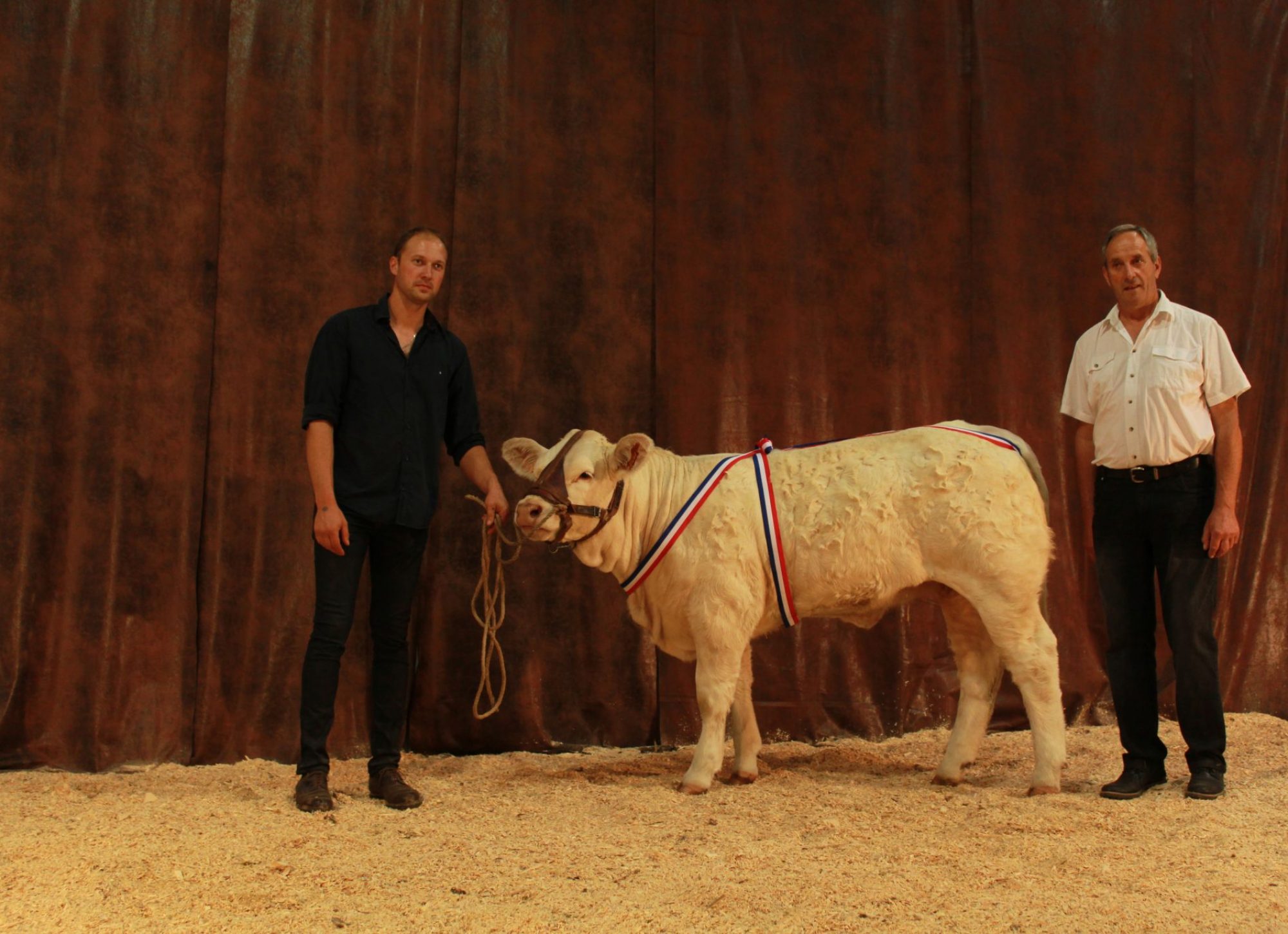 Pierre et Etienne Lauriol avec un veau Charolais lors d'un concours